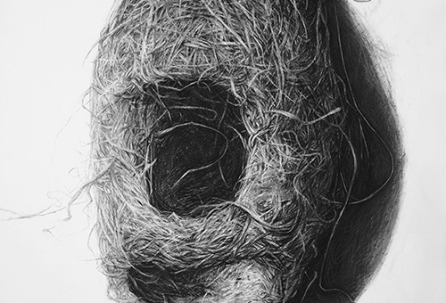 Bird Nest No.1 - nature inspired art, charcoal drawing art, Singapore art