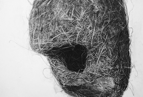 Bird Nest No.2 - contemporary charcoal drawing of nature still life by Singapore artist Liu Ling