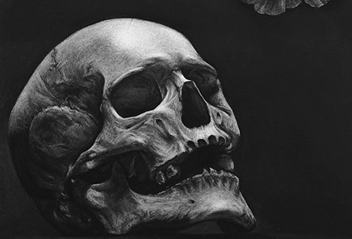 Skull, Moth, Flower - dark art of life and death by singapore charcoal artist Liu Ling