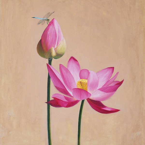 Lotus No.2 - flower oil painting