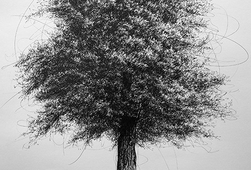Tree No.2 - pen and ink drawing of nature by contemporary Singapore visual artist Liu Ling